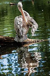 《漫威蜘蛛侠2》PS5联动主机价格泄露 售价599.99美元